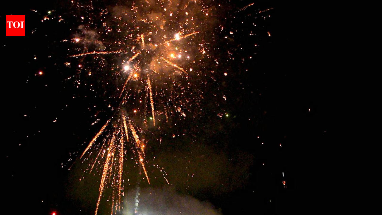 Govt bodies differ, Centre to test green crackers afresh