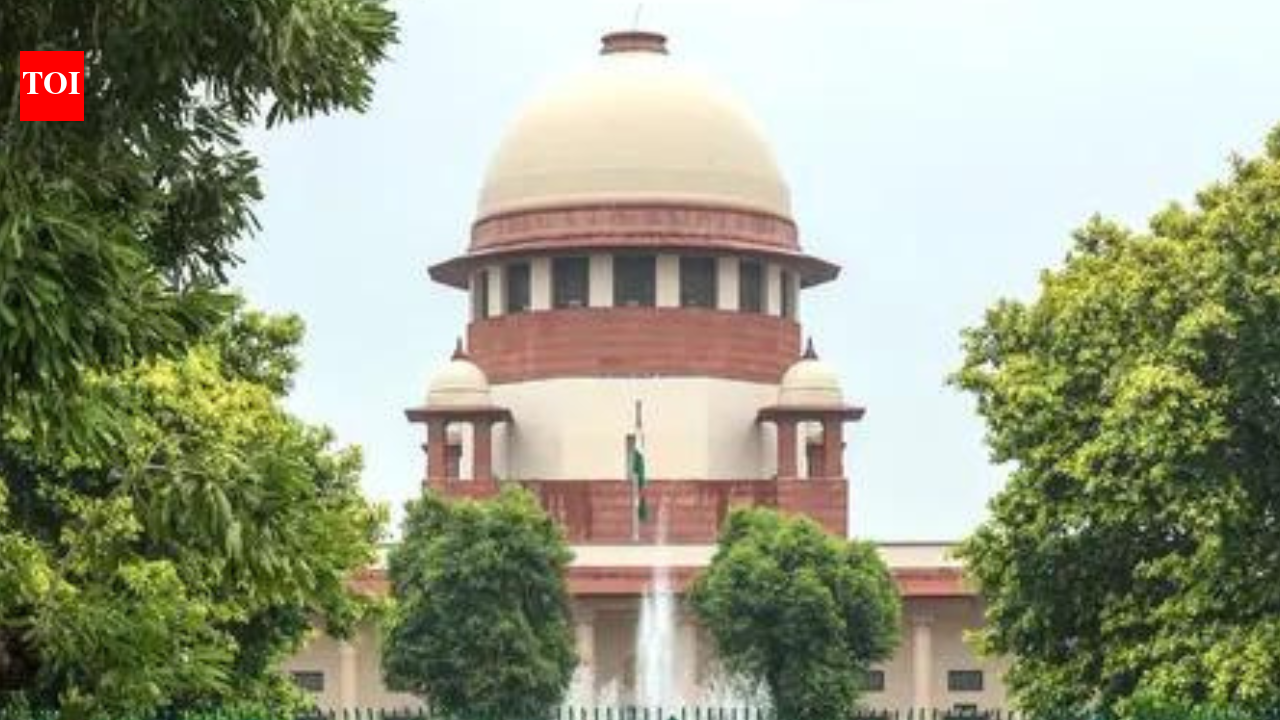 Council can seek appraisals from teachers' institues: SC