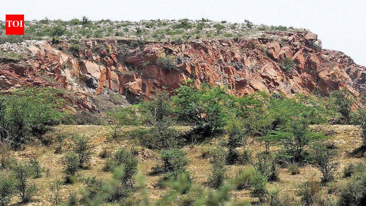 Aravalis can’t be defined by height or any single criterion: SC panel