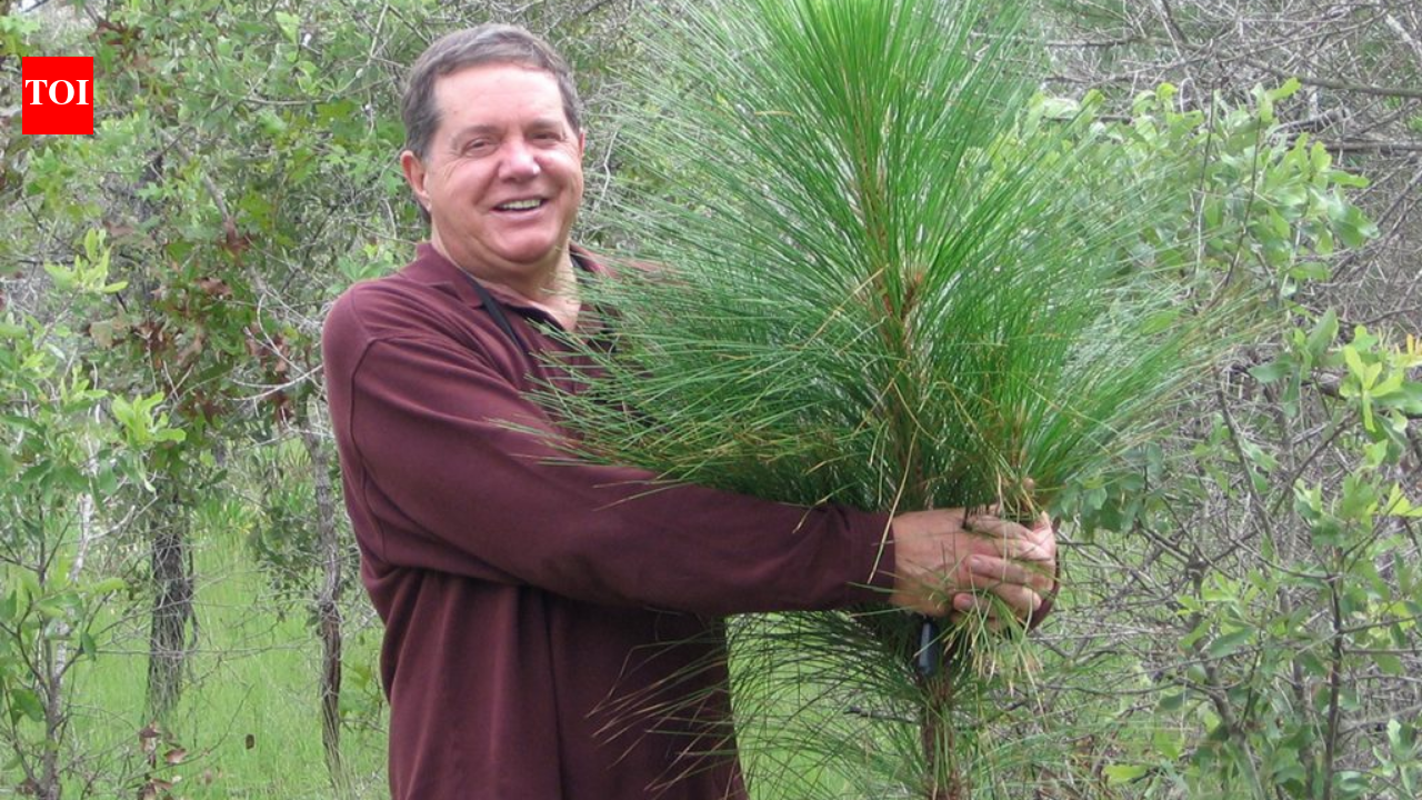 Man bought 51,000 acres of degraded Florida land and turned it into restoration