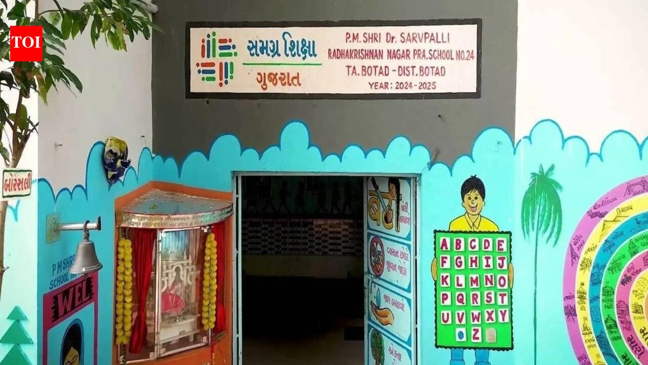 More teachers, better access, fewer pupils: India’s government school paradox