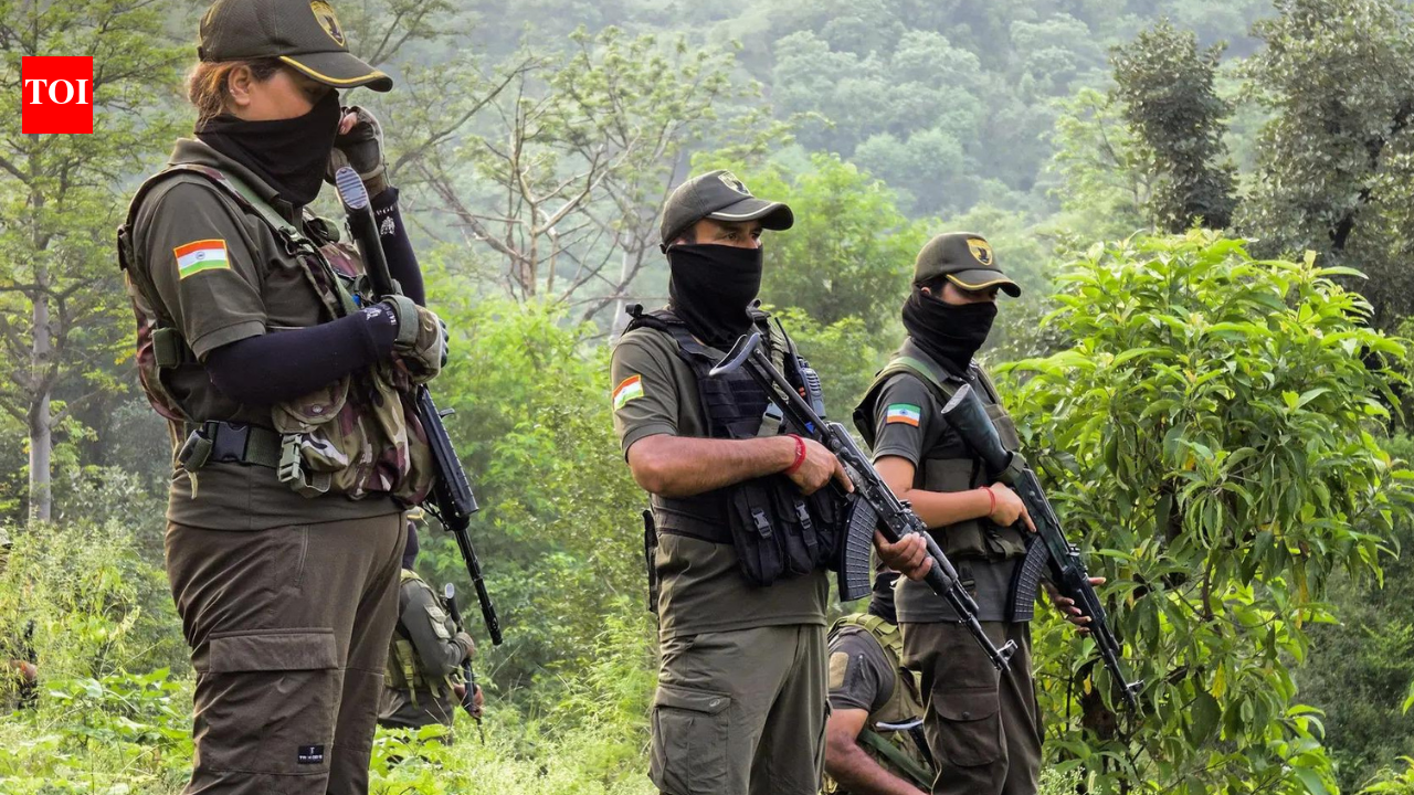 Pak intruder caught near international border in Jammu