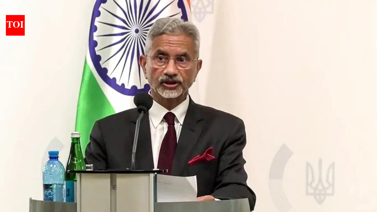 Peace hinges on diplomacy, not oil trade: EAM in Ukraine