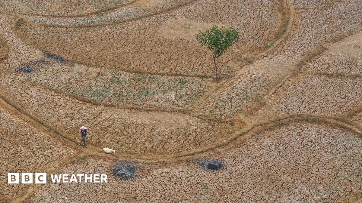 Five ways El Niño is affecting the weather around the world