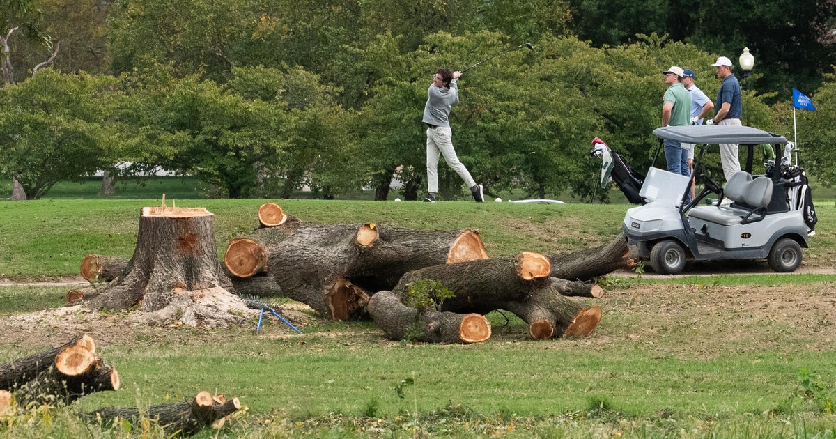 Judge blocks Trump administration from cutting down trees at D.C. golf course for 2 weeks – CBS News