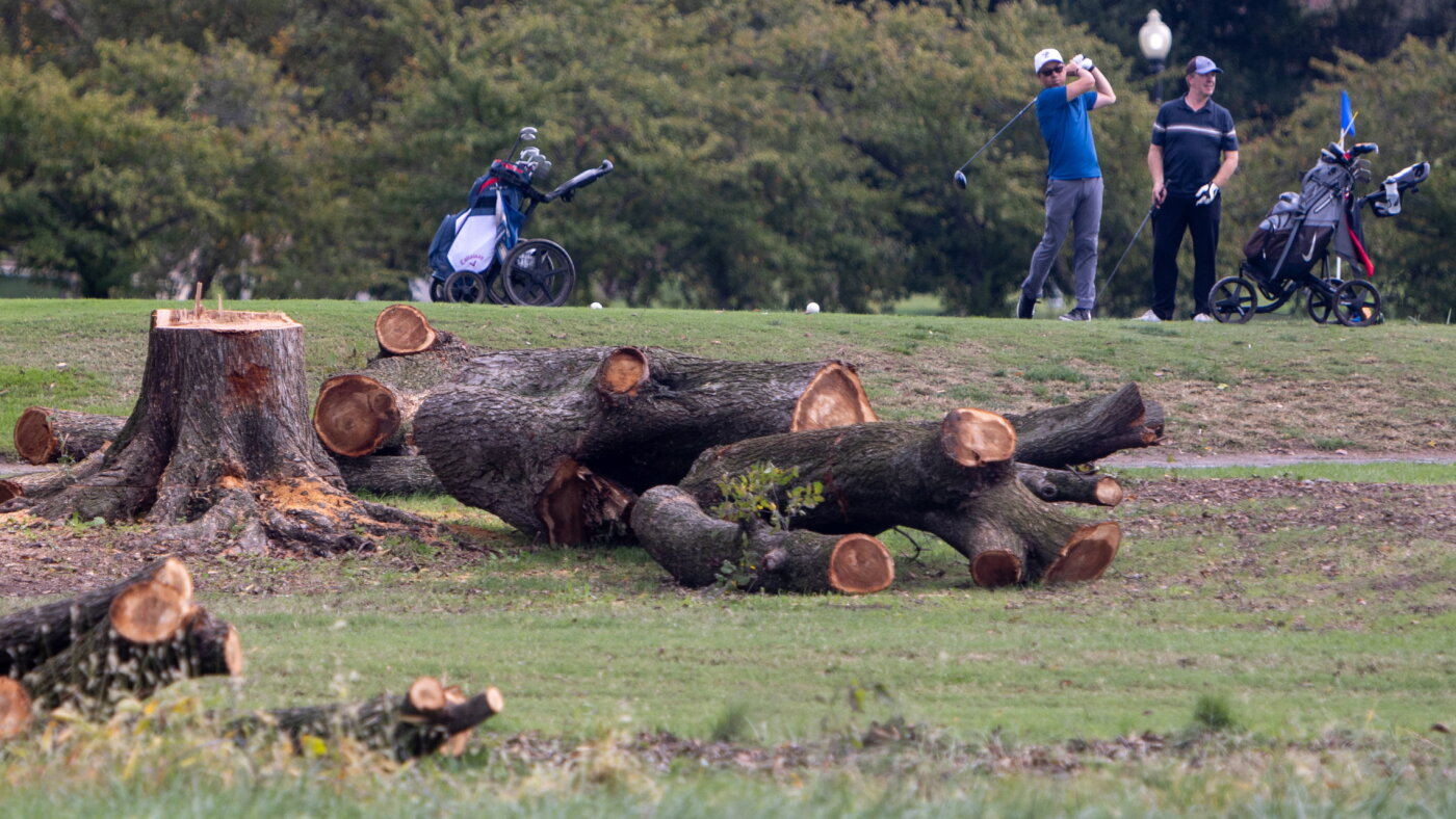 A judge blocks the government's tree-clearing spree at a municipal D.C. golf course – NPR