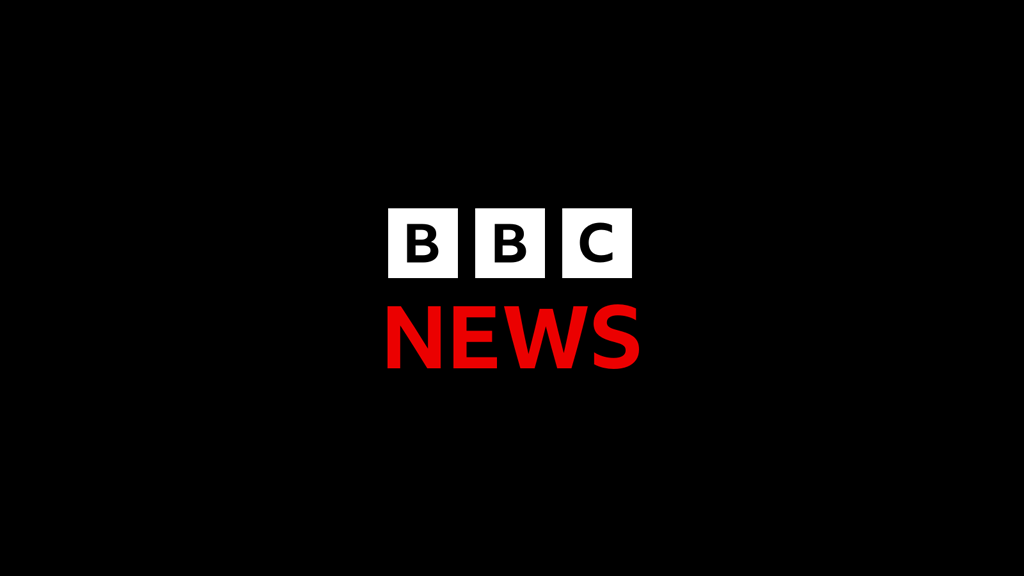 Helen Haines: Car 'did a u-turn' in order to hit Australian MP, Anthony Albanese says – BBC
