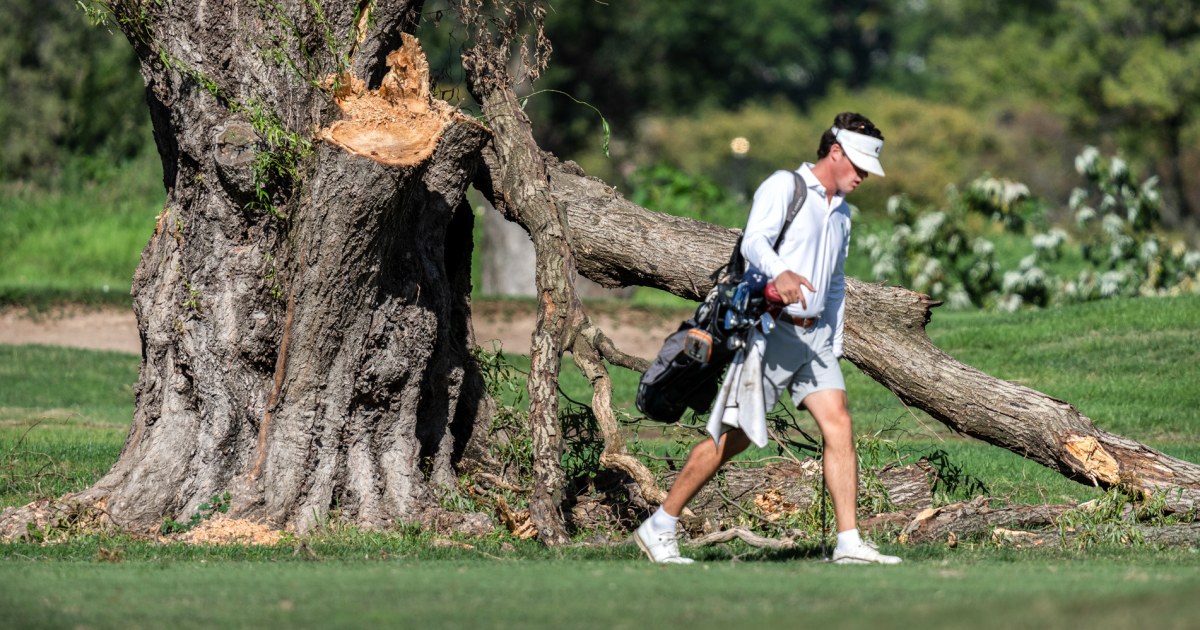 Judge leans toward extending halt on tree clearing at golf course where Trump says redesign should start ‘immediately’ – NBC News