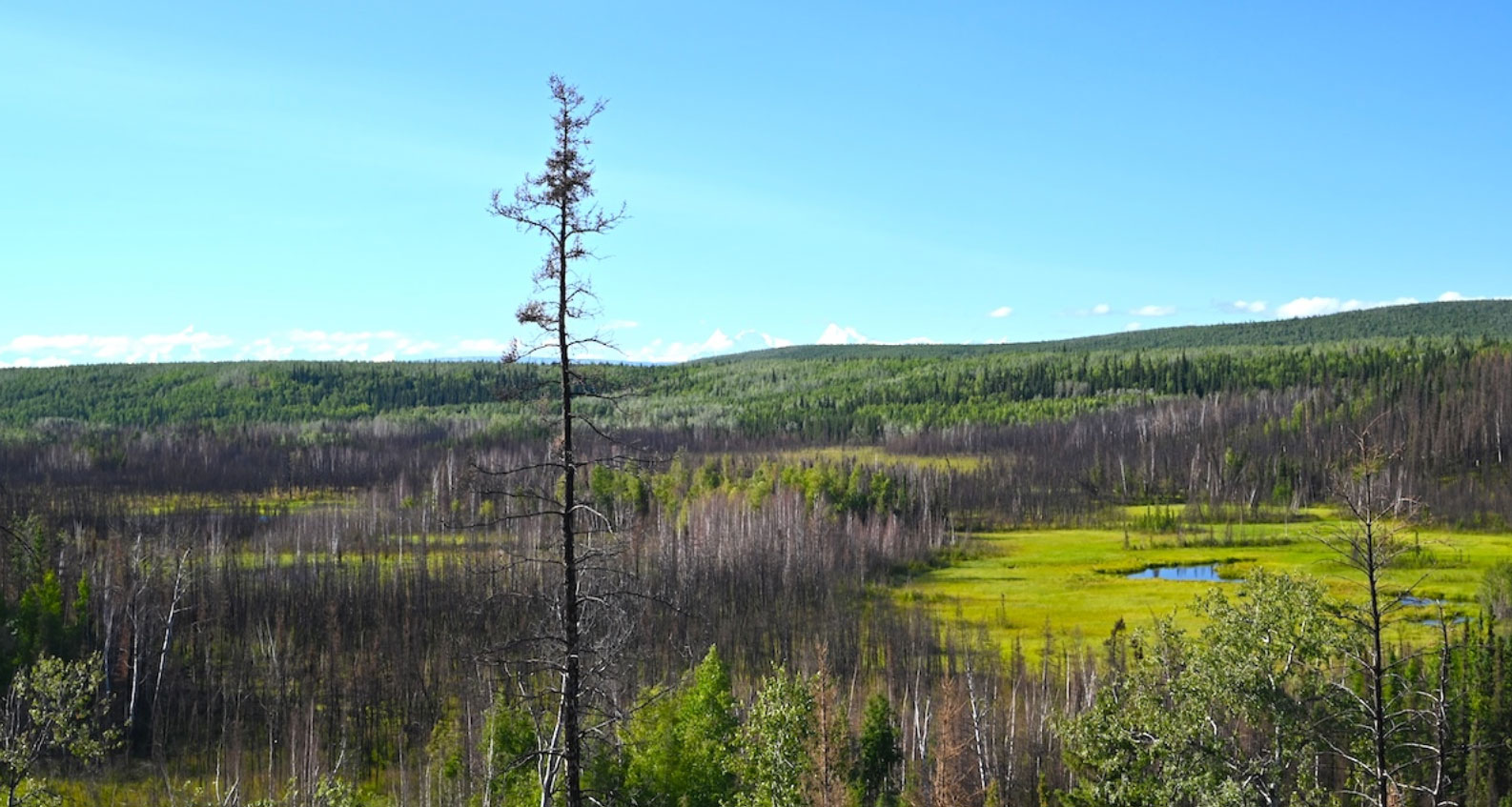 News – Cultural Connection Identified Between Prehistoric Sites in Alaska and Russia – Archaeology Magazine