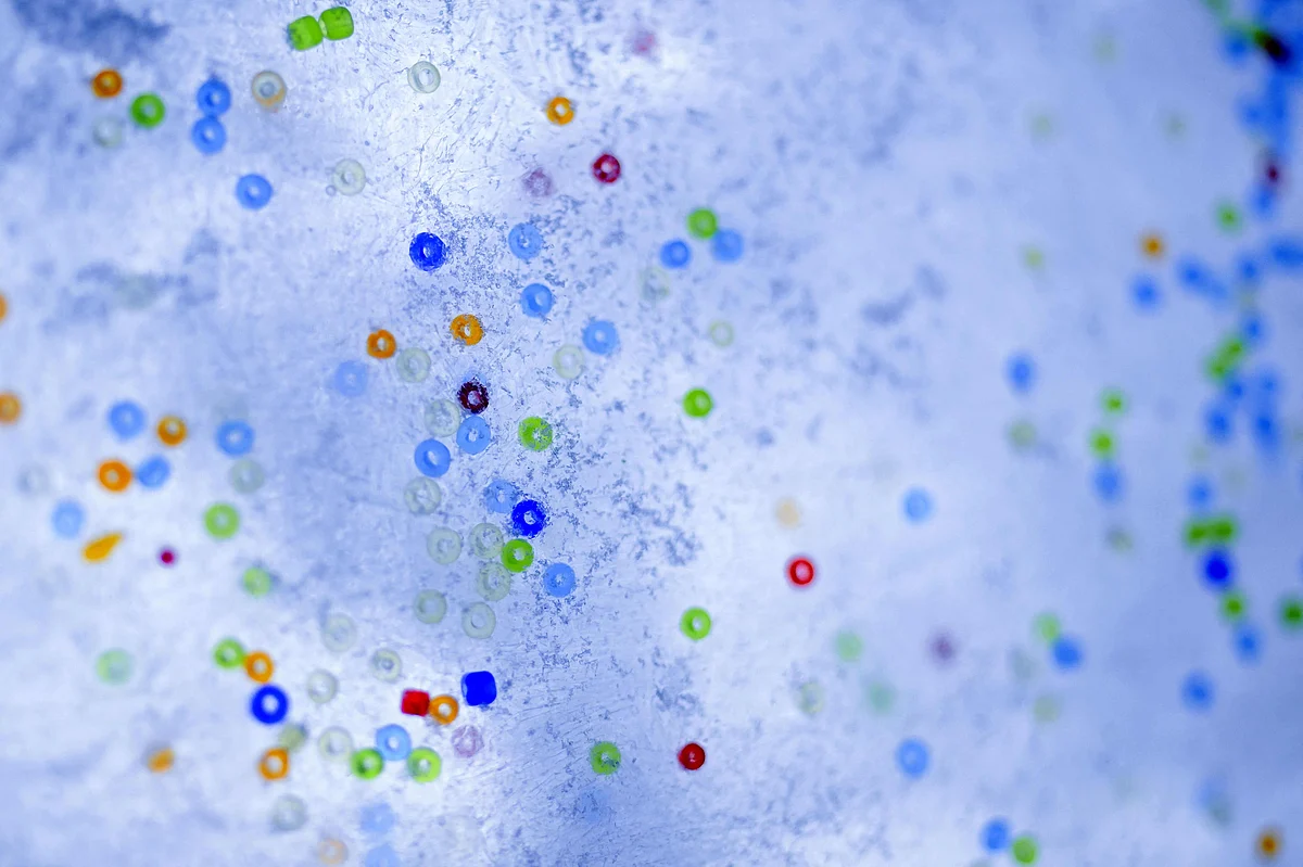 Microplastics detected in farmed pond fish