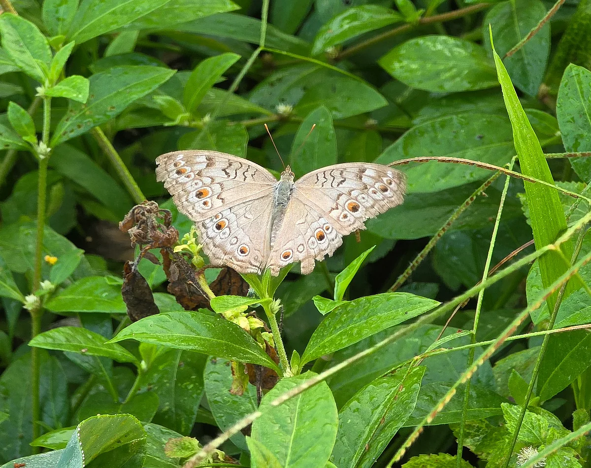 TOP SHOTS (3 October 2026)