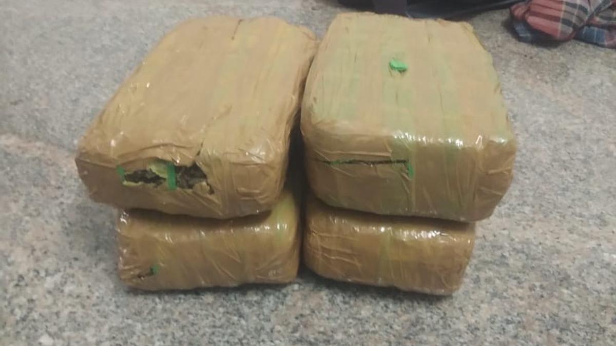 Man held for smuggling ganja on government bus at Katpadi